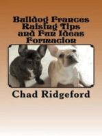 Bulldog Frances Raising Tips and Fun Ideas Formacion