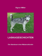 LASKAGESCHICHTEN