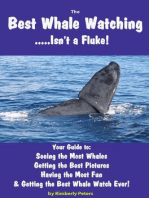 Best Whale Watching