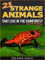 21 Strange Animals That Live In The Rainforest: Weird & Wonderful Animals, #2