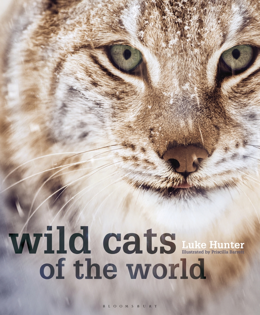 Wild Cats of the World by Luke Hunter Book Read Online