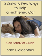 3 Quick & Easy Ways to Help a Frightened Cat