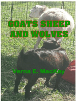 Goats Sheep And Wolves