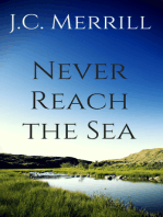 Never Reach the Sea