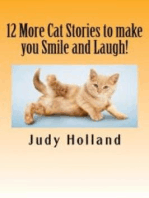 12 More Cat Stories to make you Smile and Laugh!