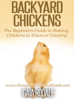 Backyard Chickens: The Beginners Guide to Raising Chickens in Town or Country: Sustainable Living & Homestead Survival Series