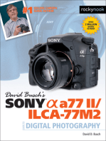 David Busch’s Sony Alpha a77 II/ILCA-77M2 Guide to Digital Photography