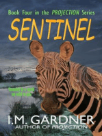 Sentinel: Projection, #4