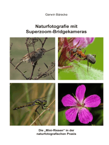 Naturfotografie mit Superzoom-Bridgekameras: Die "Mini-Riesen" in der naturfotografischen Praxis