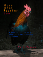 Horn Hoof Feather Soul: A Year in the Life at a Farmed Animal Sanctuary in Photos
