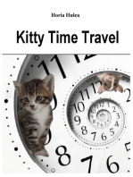 Kitty Time Travel
