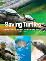 Saving Turtles