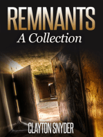 Remnants: A Collection