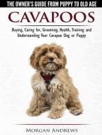Cavapoos: The Owner's Guide From Puppy To Old Age - Buying, Caring for, Grooming, Health, Training and Understanding Your Cavapoo Dog or Puppy