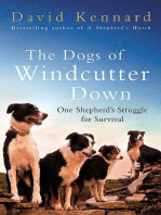 The Dogs of Windcutter Down: One Shepherd's Struggle for Survival