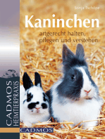 Kaninchen: Artgerecht halten, pflegen und verstehen