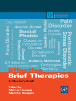 Effective Brief Therapies: A Clinician's Guide