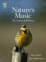 Nature's Music: The Science of Birdsong