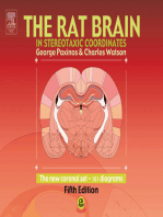 The Rat Brain in Stereotaxic Coordinates - The New Coronal Set