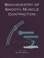 Biochemistry of Smooth Muscle Contraction