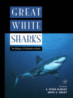 Great White Sharks: The Biology of Carcharodon carcharias