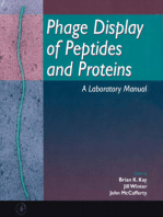 Phage Display of Peptides and Proteins: A Laboratory Manual