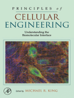 Principles of Cellular Engineering: Understanding the Biomolecular Interface