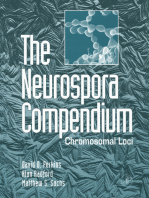 The Neurospora Compendium