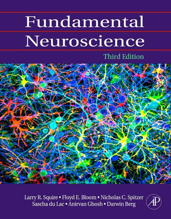 books on educational neuroscience