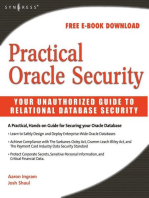 Practical Oracle Security: Your Unauthorized Guide to Relational Database Security