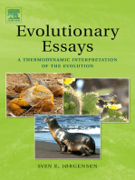 Evolutionary Essays: A Thermodynamic Interpretation of the Evolution