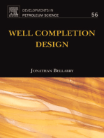 Well Completion Design