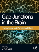 Gap Junctions in the Brain: Physiological and Pathological Roles