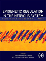 Epigenetic Regulation in the Nervous System: Basic Mechanisms and Clinical Impact