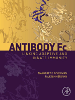 Antibody Fc: Linking Adaptive and Innate Immunity