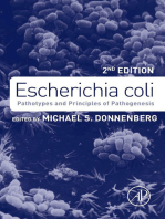 Escherichia coli: Pathotypes and Principles of Pathogenesis