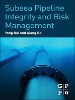 Subsea Pipeline Integrity and Risk Management