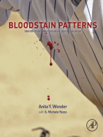 Bloodstain Patterns: Identification, Interpretation and Application