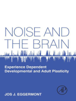 Noise and the Brain