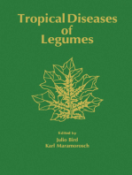 Tropical Diseases of Legumes