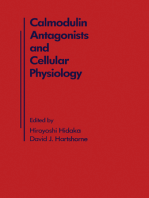 Calmodulin Antagonists and Cellular Physiology