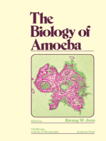 The Biology of Amoeba