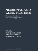 Neuronal and Glial Proteins: Structure, Function, and Clinical Application