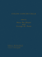 Colon Cancer Cells