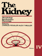 The Kidney Morphology, Biochemistry, Physiology