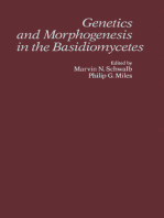 Genetics and Morphogenesis in the Basidiomycetes
