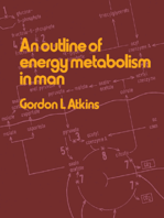 An Outline of Energy Metabolism in Man