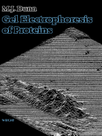 Gel Electrophoresis of Proteins