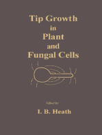 Tip Growth in Plant and Fungal Cells