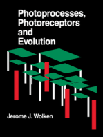 Photoprocesses, Photoreceptors, and Evolution